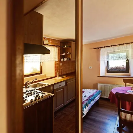 Apartmaji Pr-gujlu Sela Nad Podmelcem 5220 Tolmin